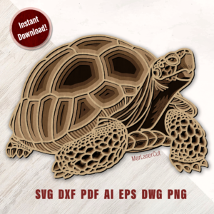Tortoise 5 Layers