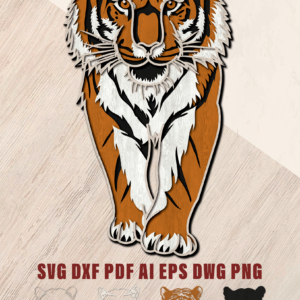 Tiger Walking