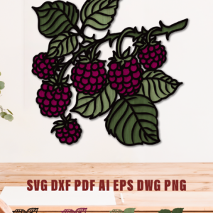 Grapes 4 layers