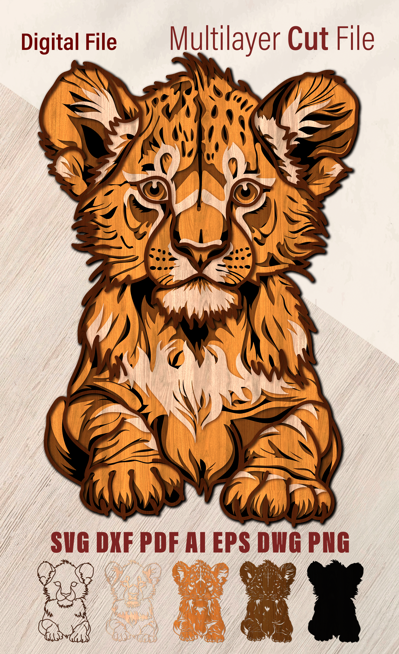 Baby Lion