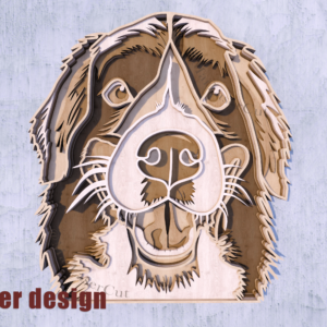 Bernese Mountain Dog 7 Layers