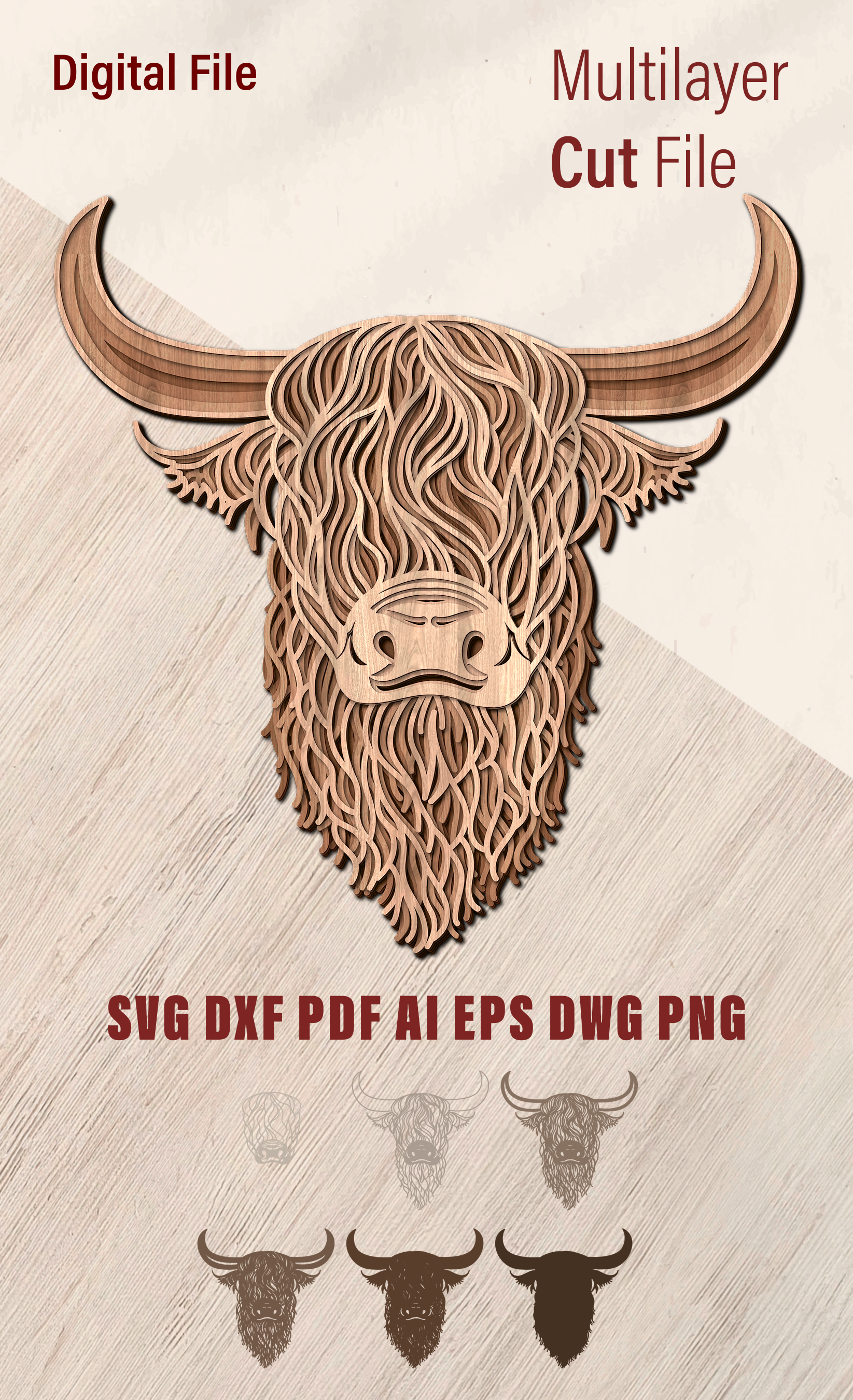Highland Cow