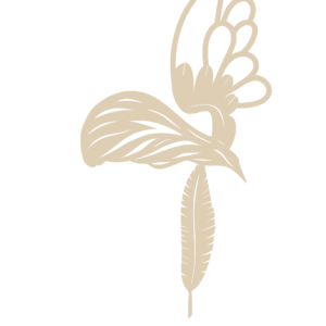 Angel PNG-01