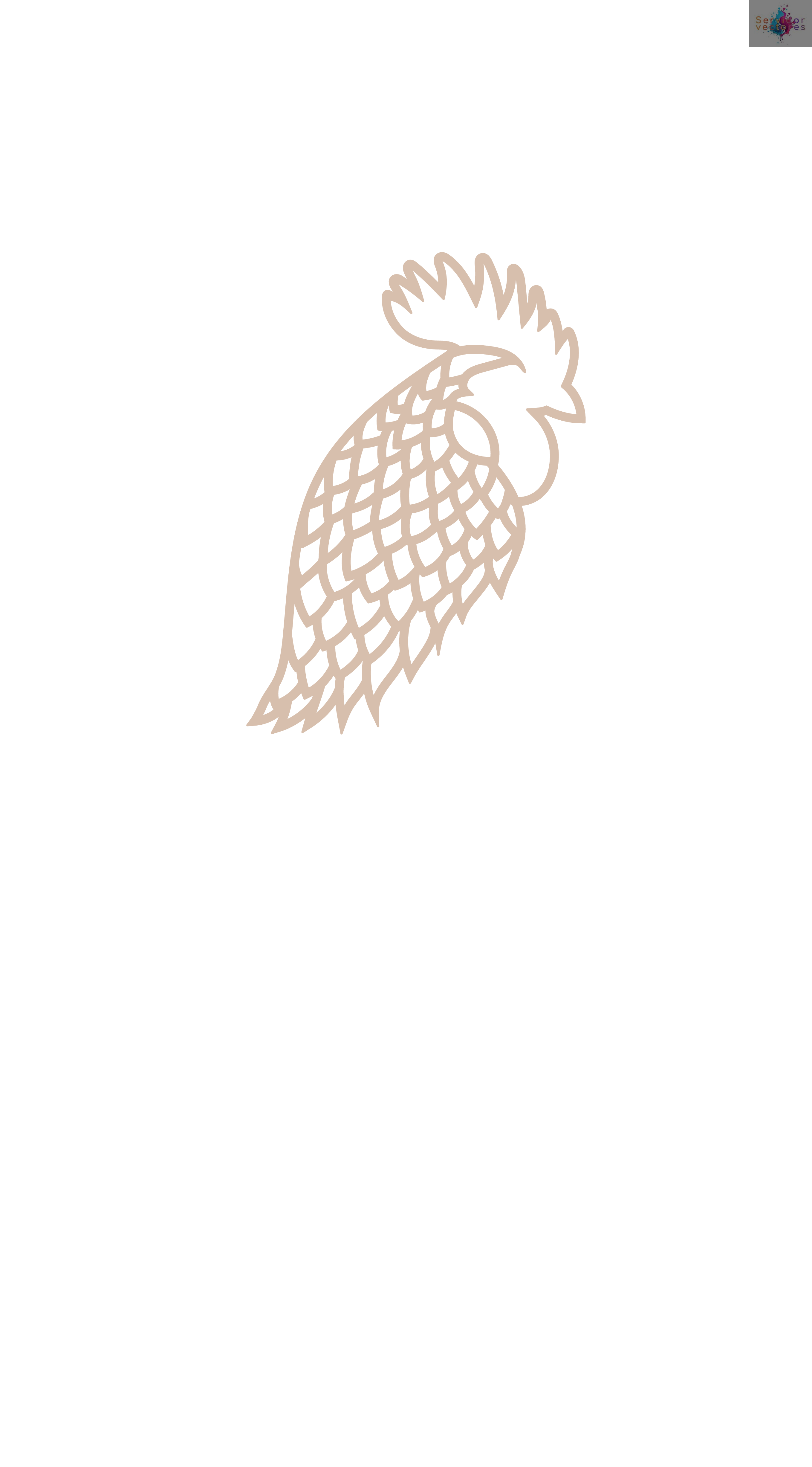 Chicken - Rooster 6 layers - Imagen 2