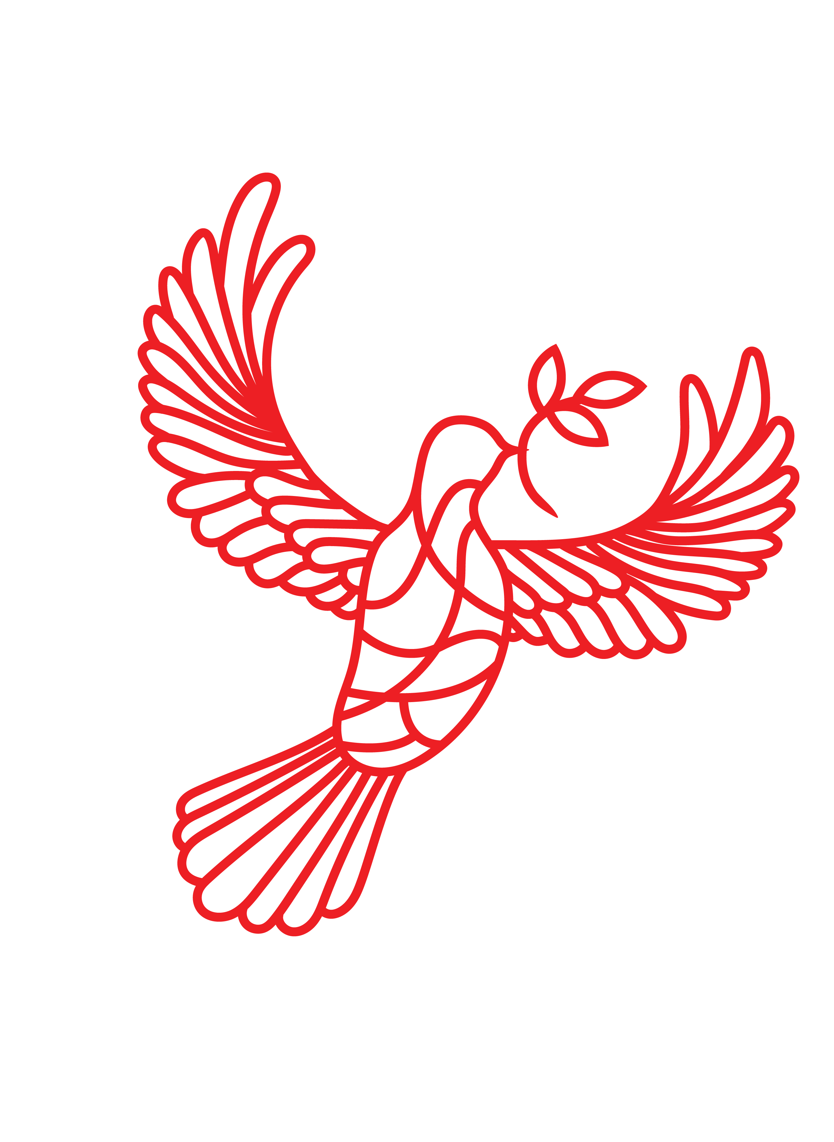 Dove Cross - Imagen 2