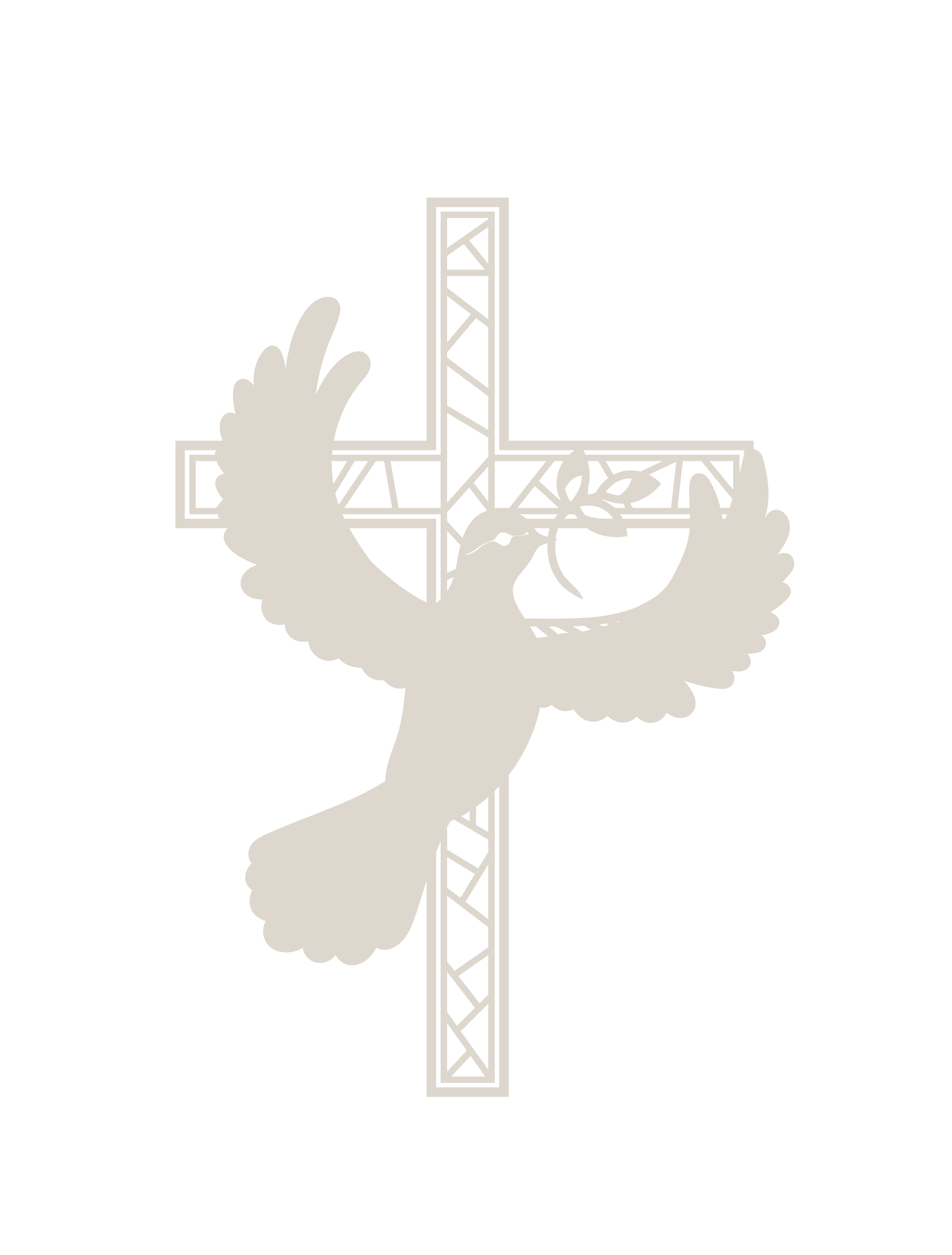 Dove Cross DESTELLOS - Imagen 3