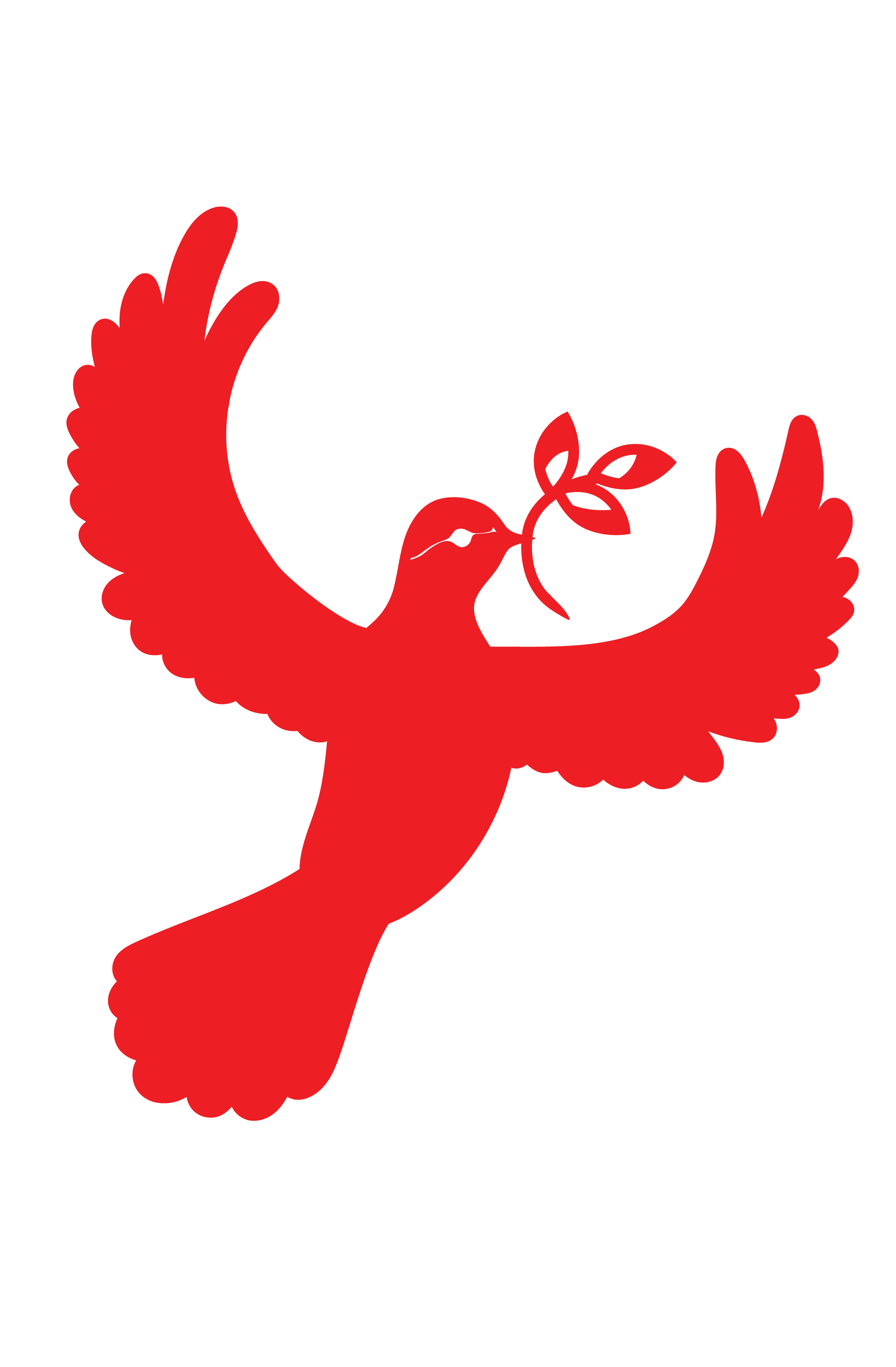 Dove Cross - Imagen 3