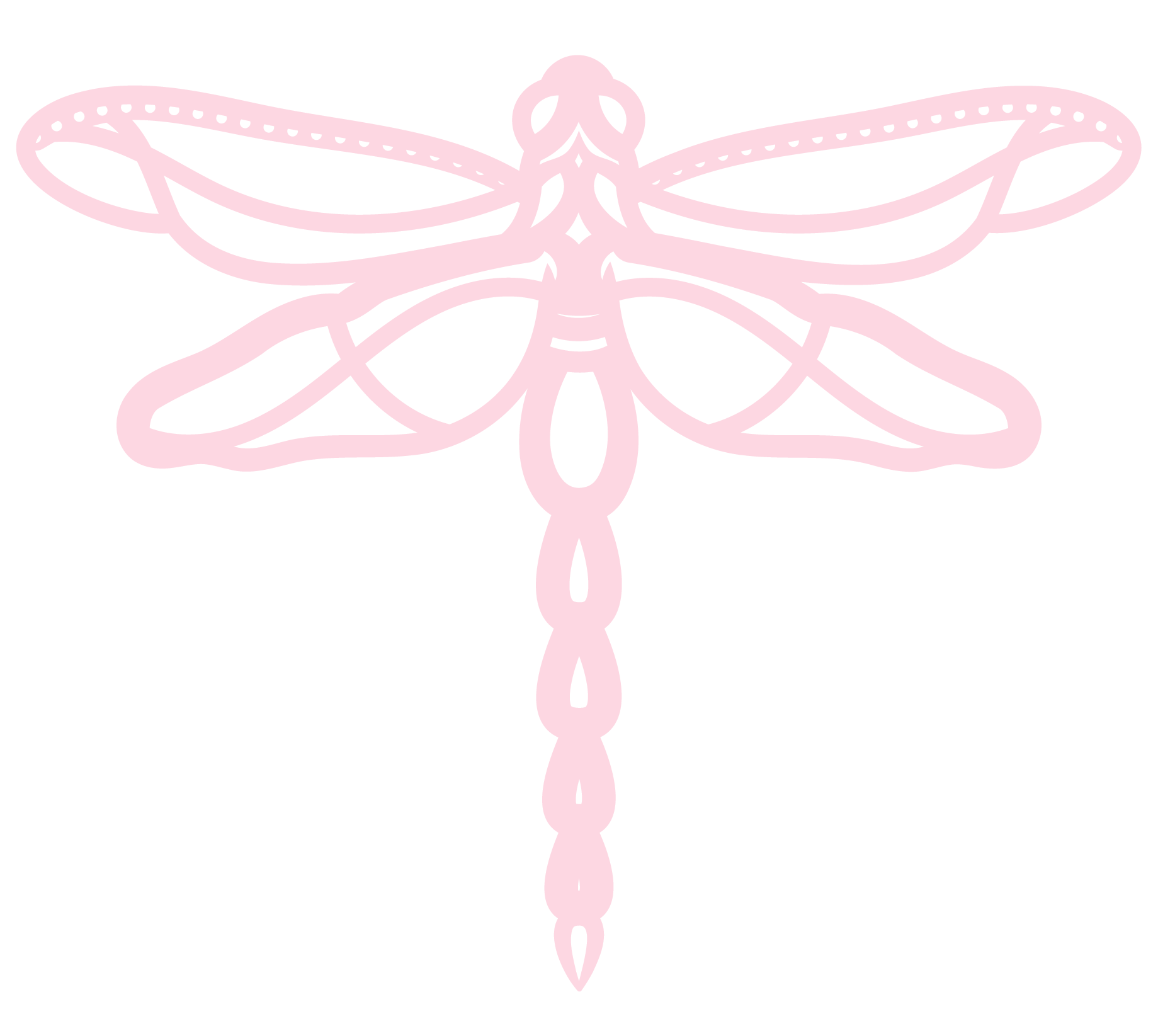 Dragonfly no flowers - Imagen 3