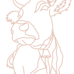 Farm Cow PNG-01