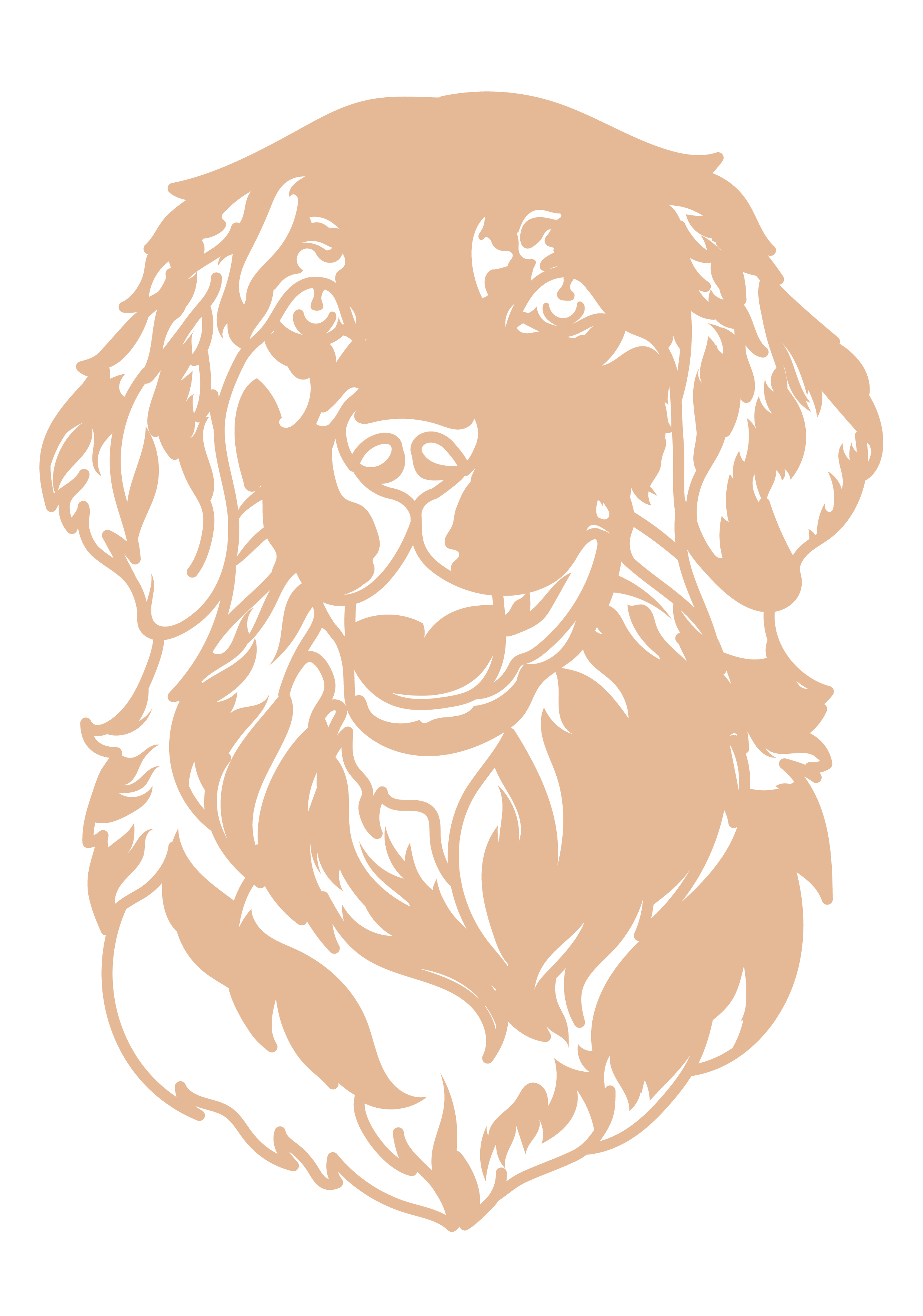 Golden Retriever - Imagen 5