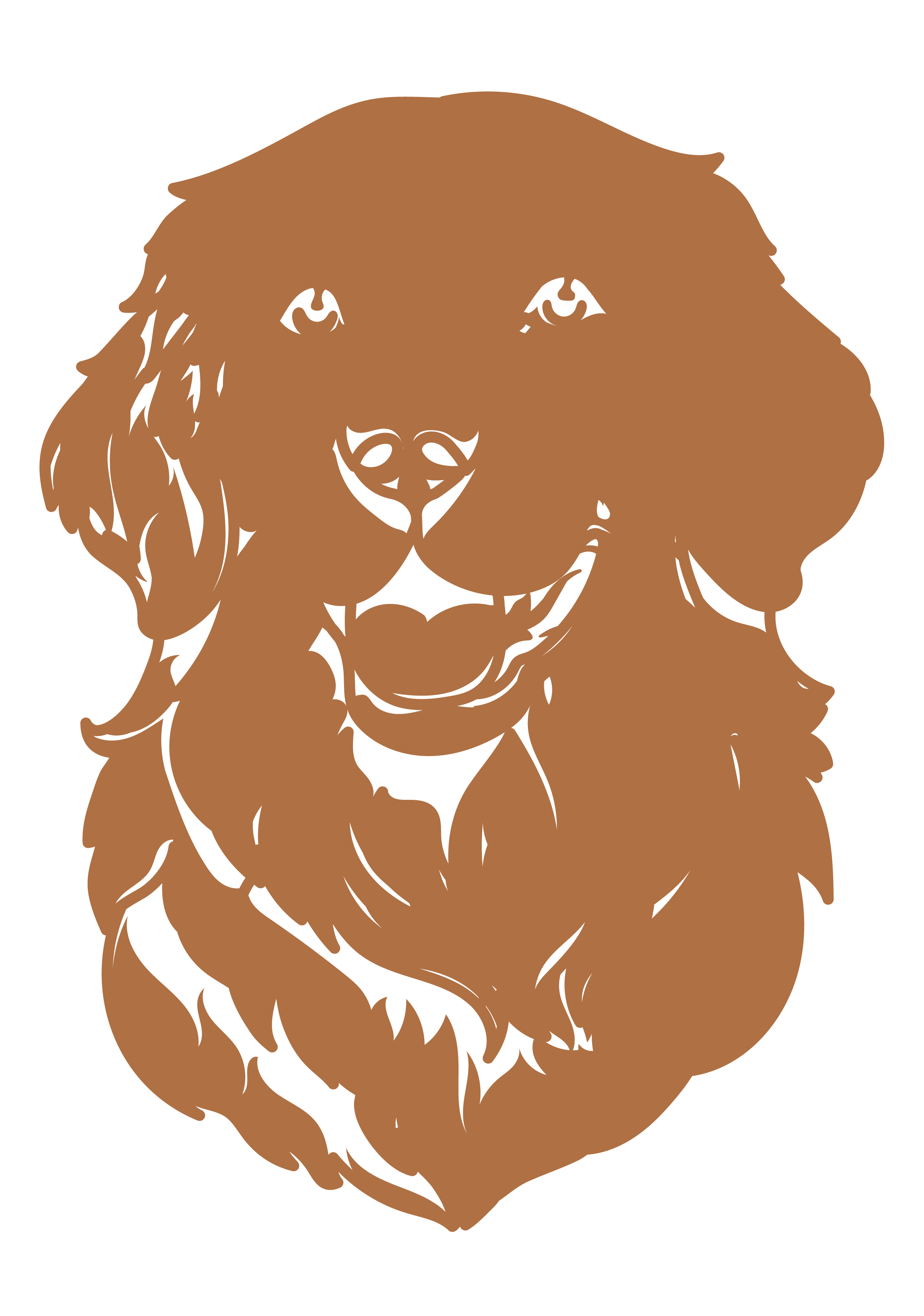 Golden Retriever - Imagen 6
