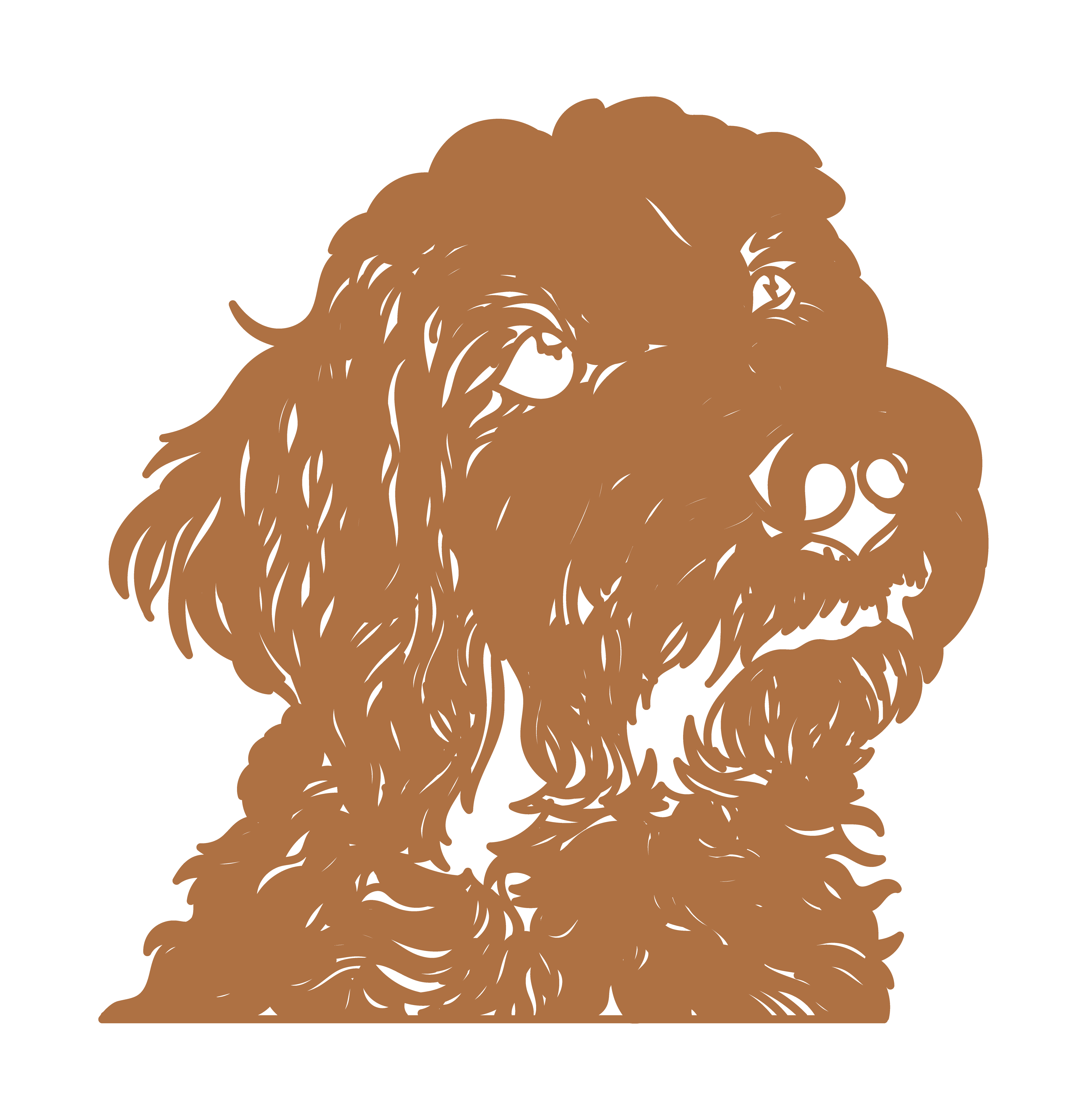 Goldendoodle - Imagen 6