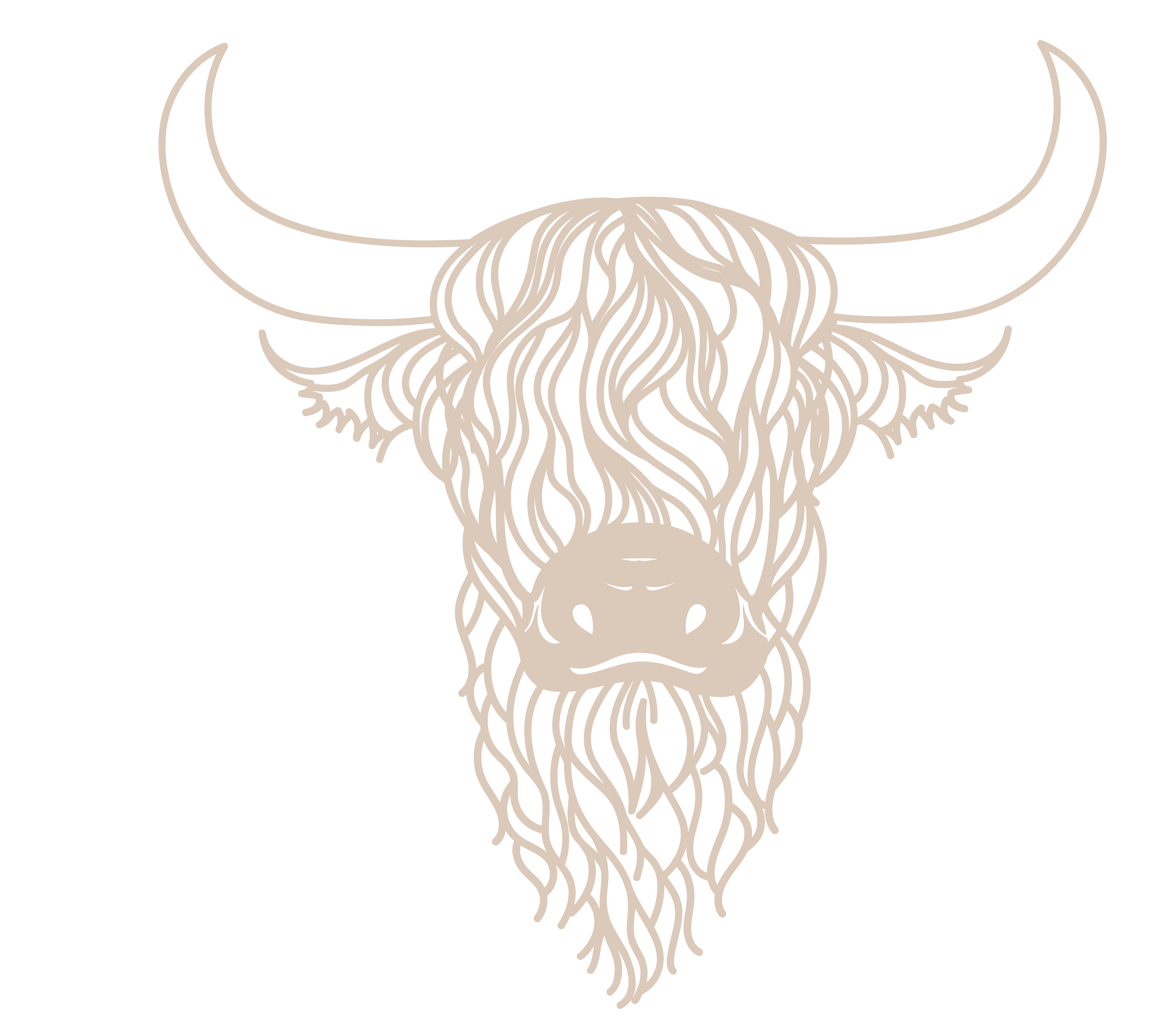 Highland Cow - Imagen 3