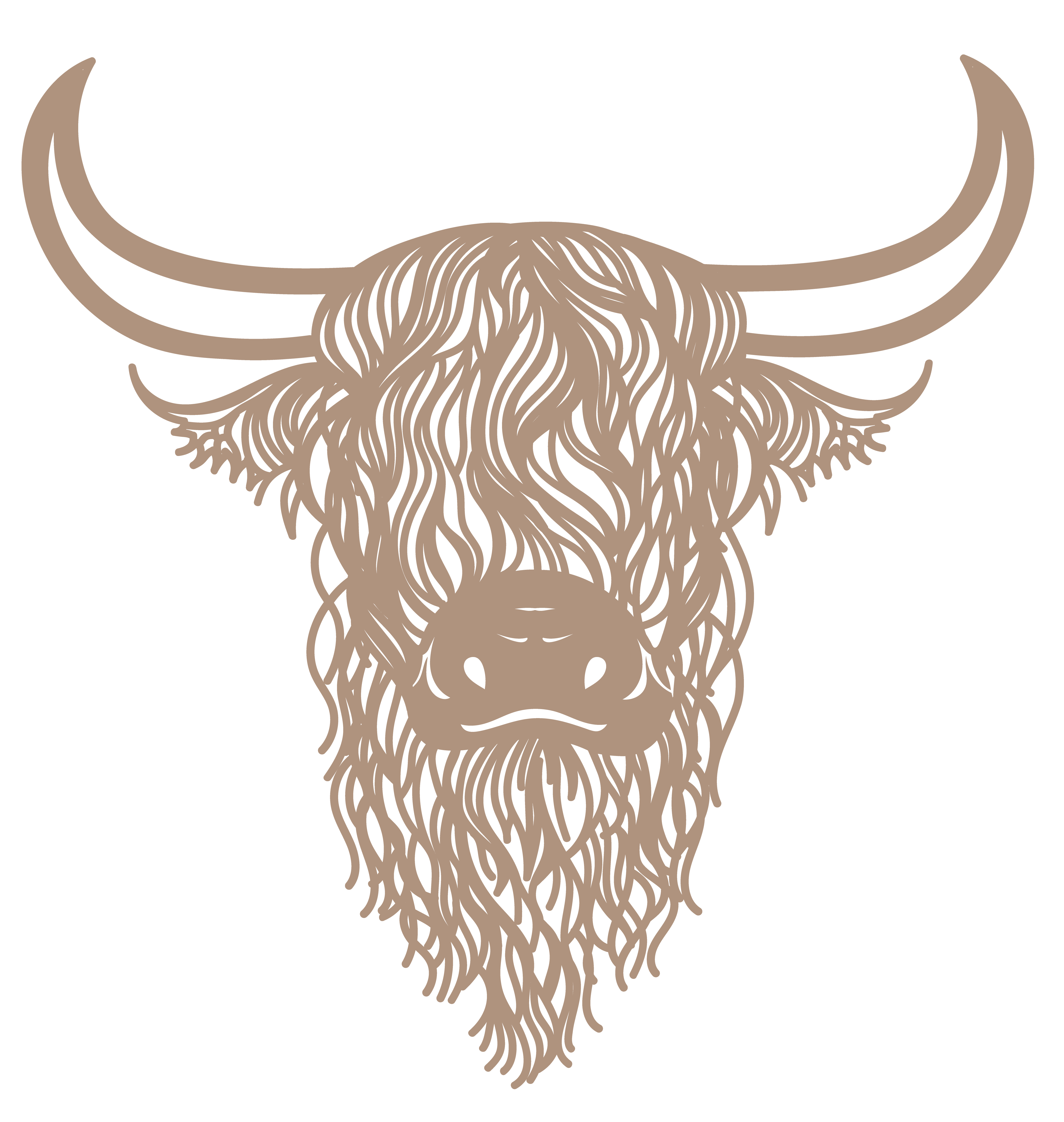 Highland Cow - Imagen 4