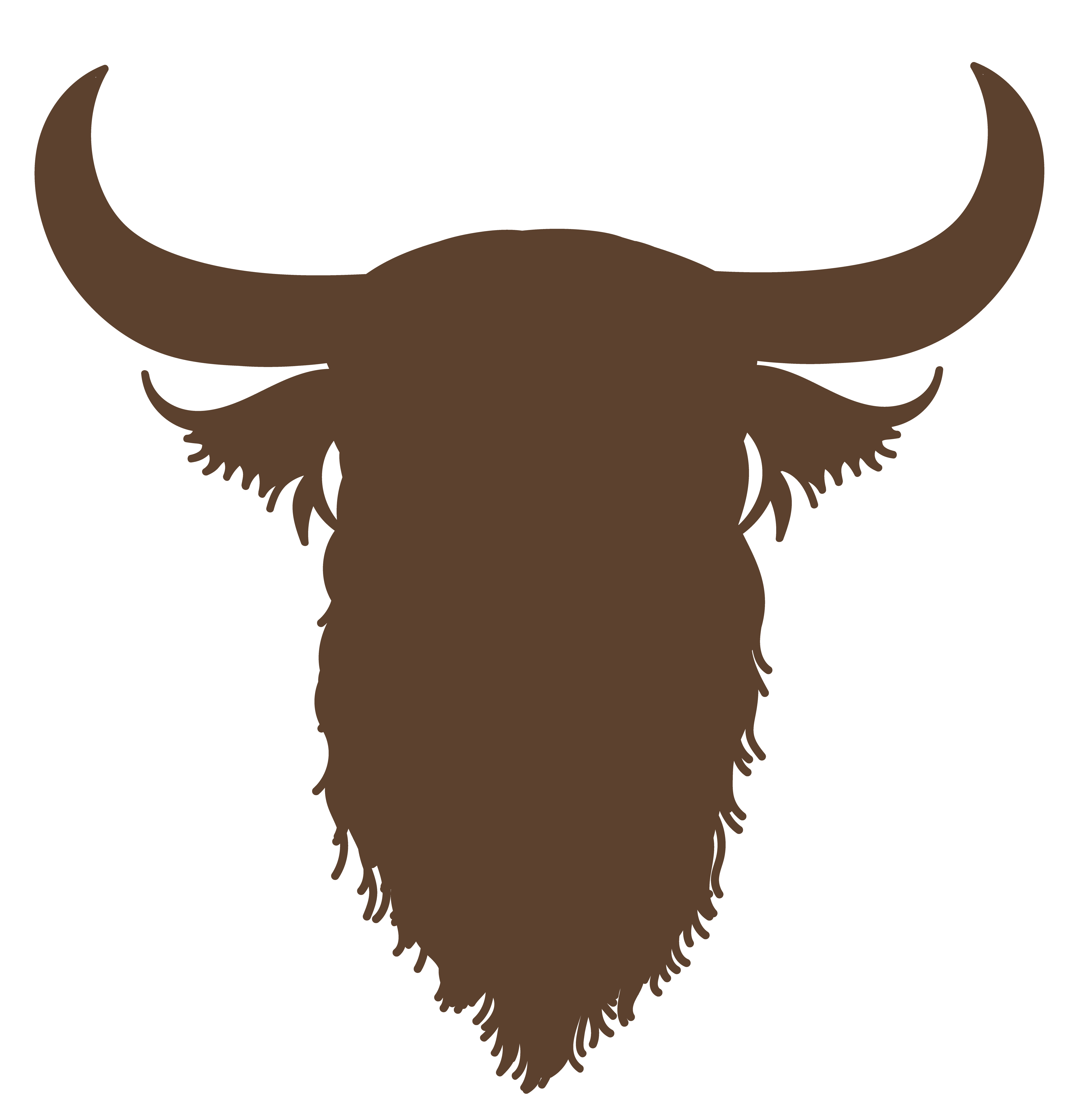 Highland Cow - Imagen 7