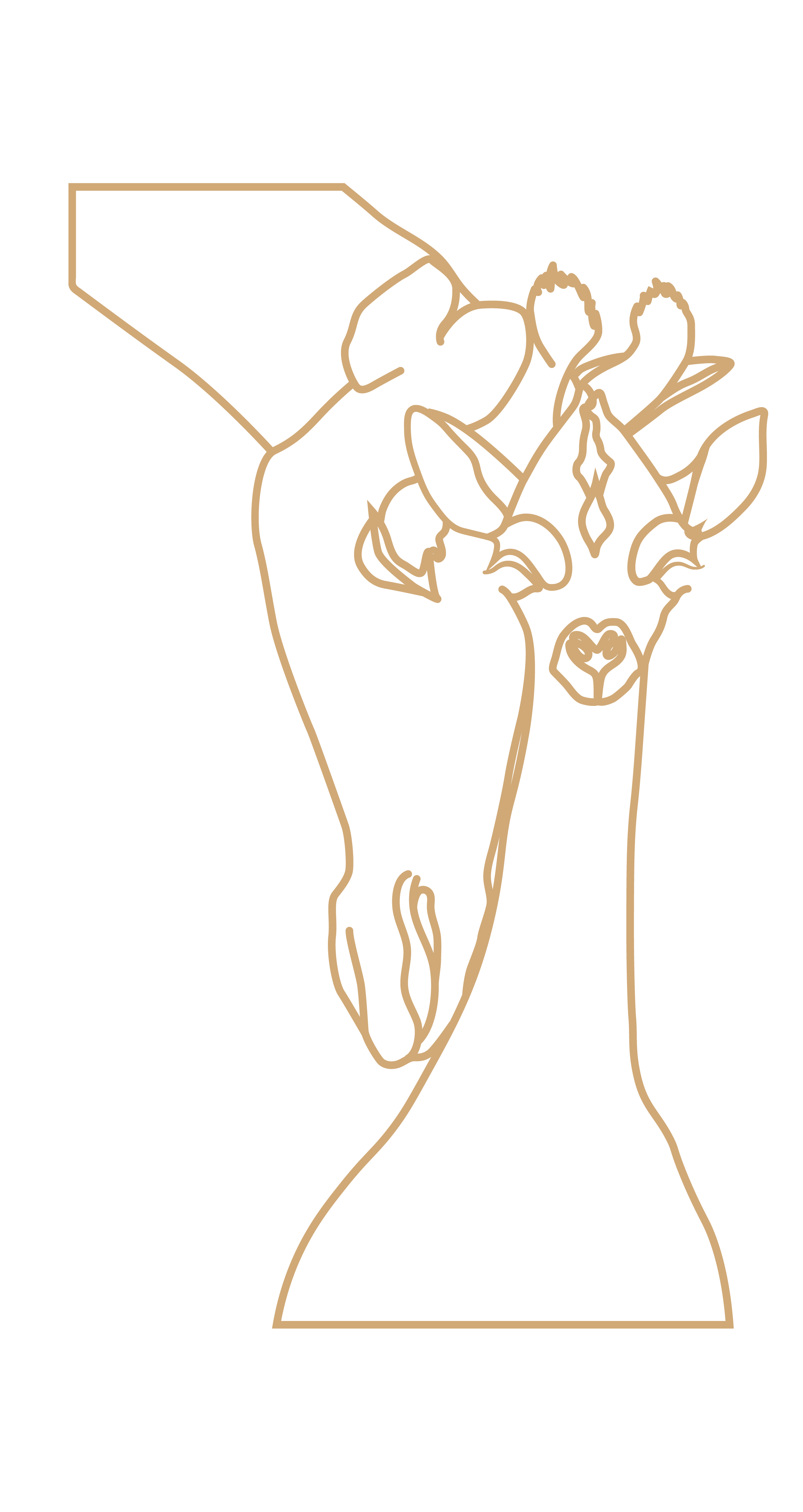 Giraffes - Imagen 3