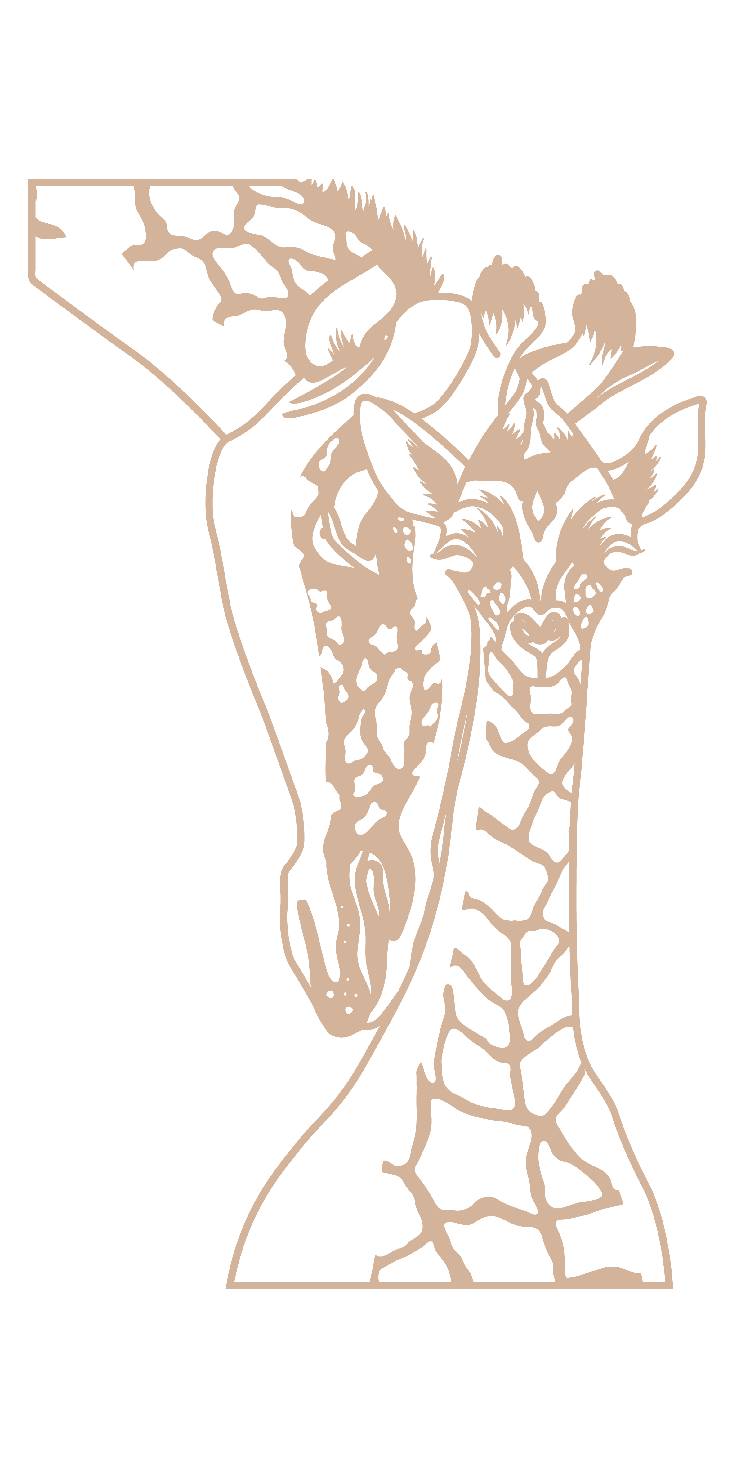 Giraffes - Imagen 4
