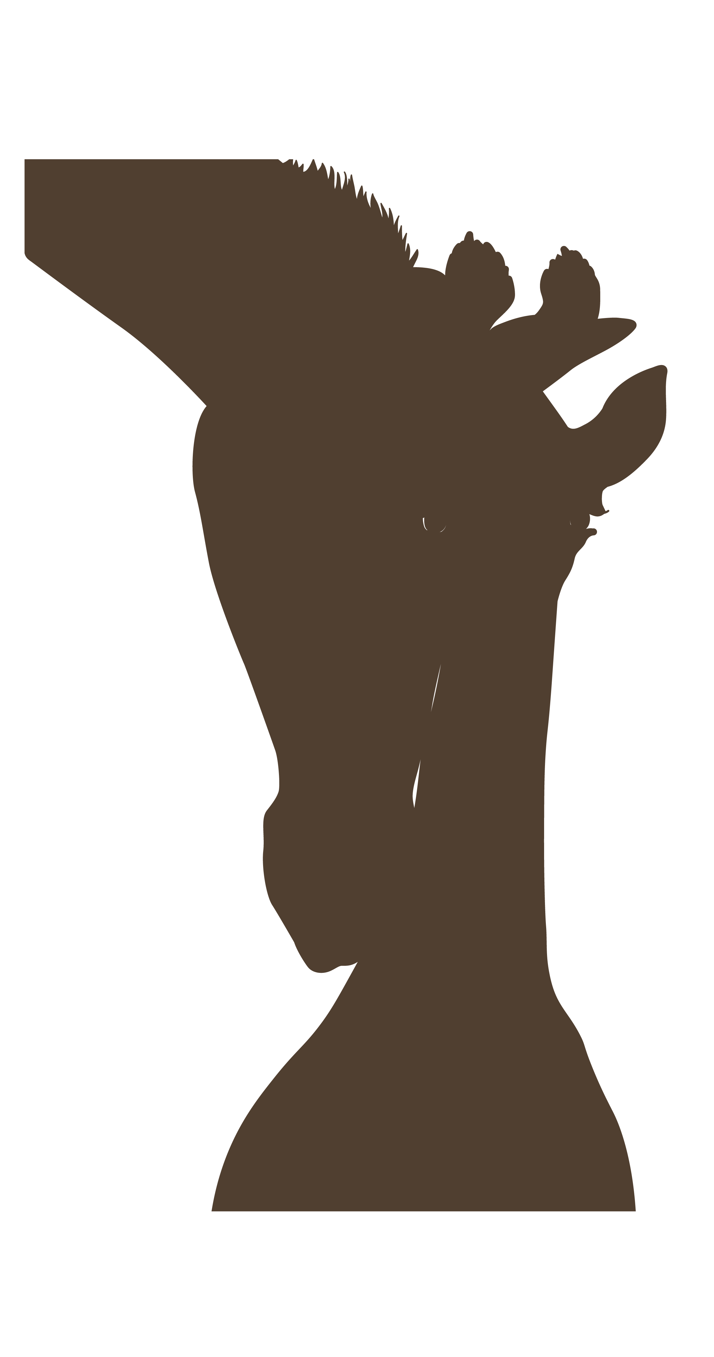 Giraffes - Imagen 6