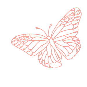 Butterfly 7 Layers