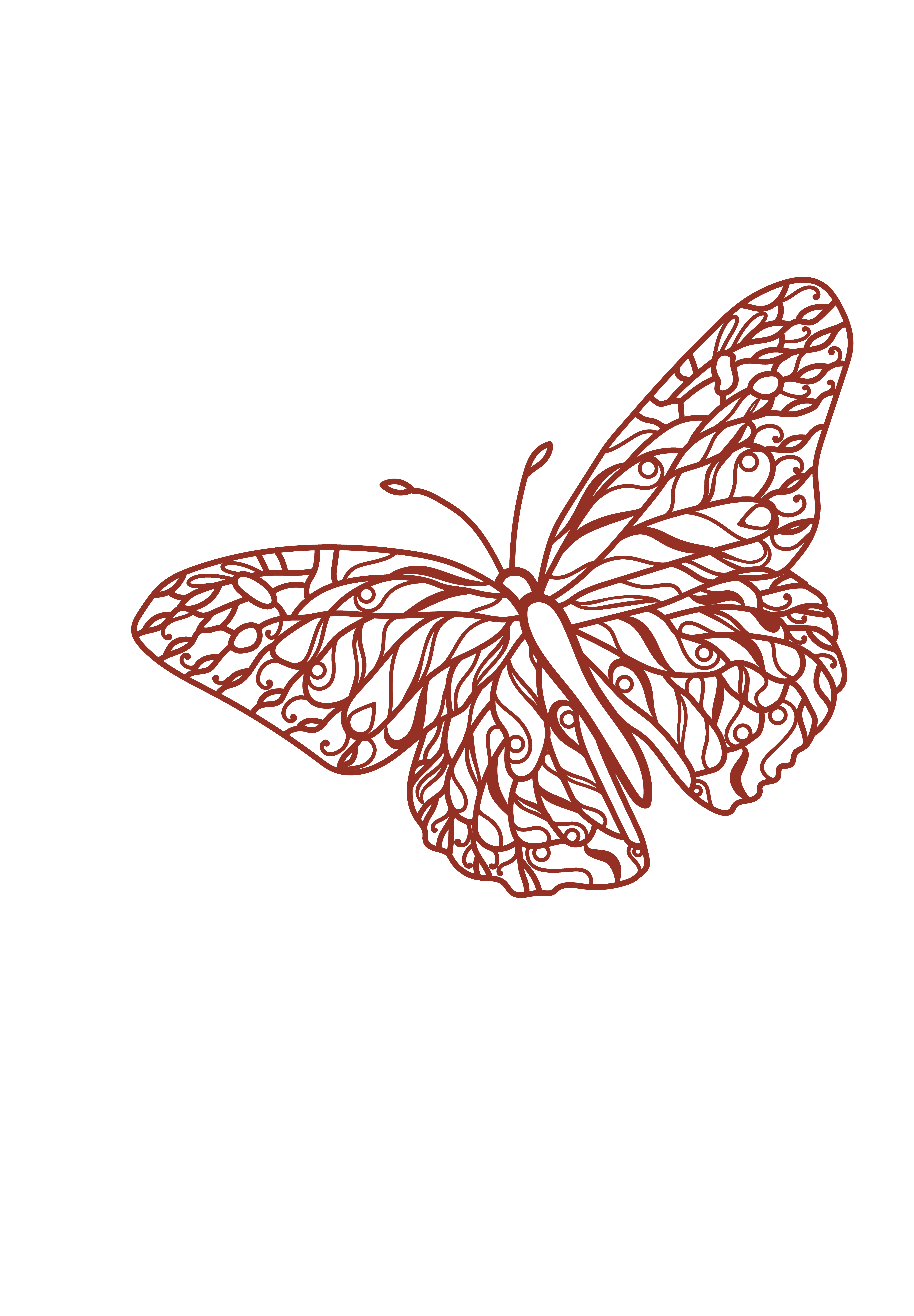Butterfly 7 Layers - Imagen 2