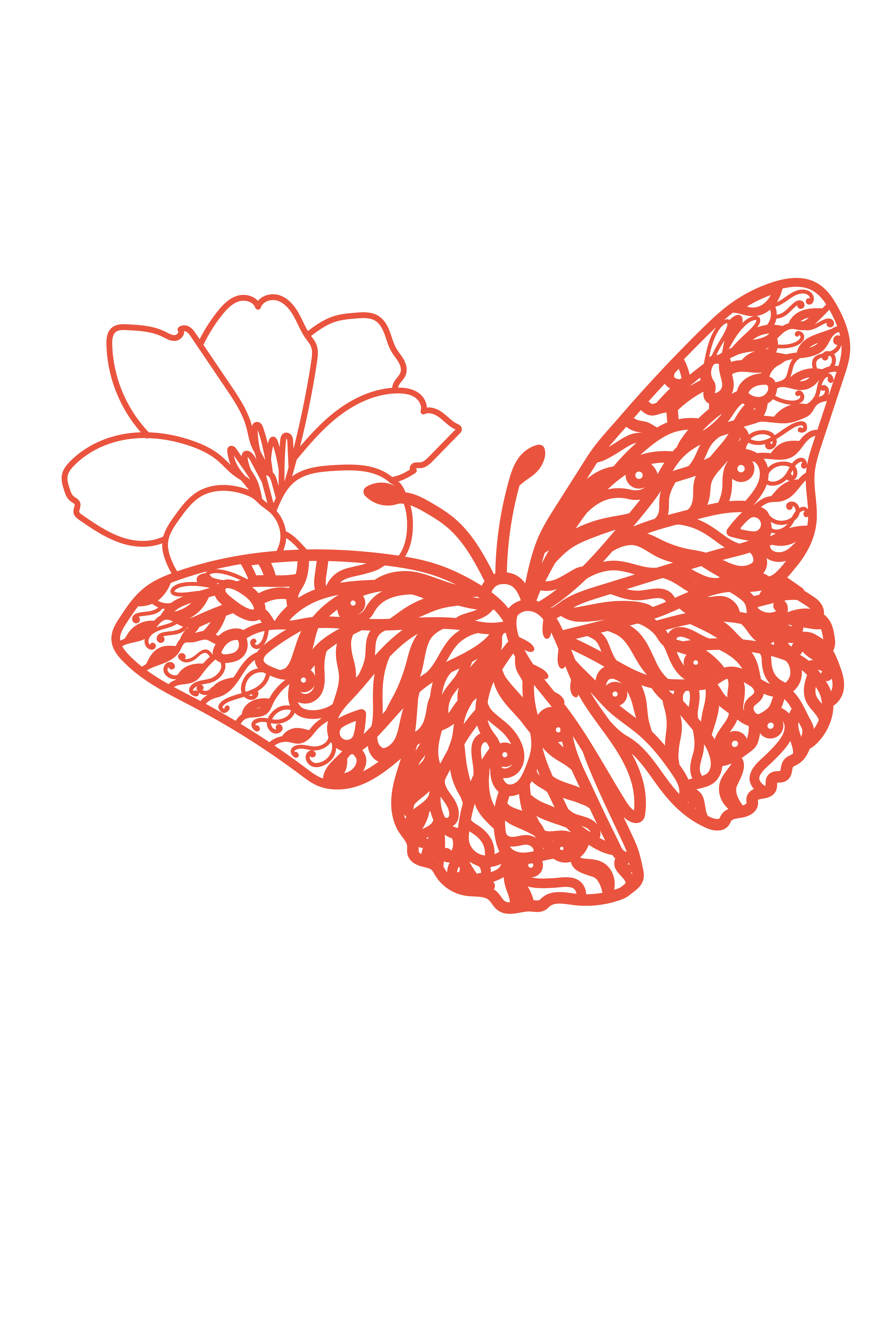 Butterfly 7 Layers - Imagen 3
