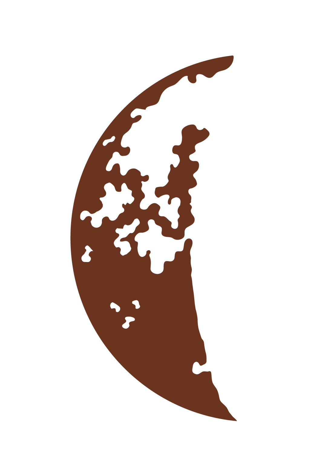 Moon Phase - Imagen 6