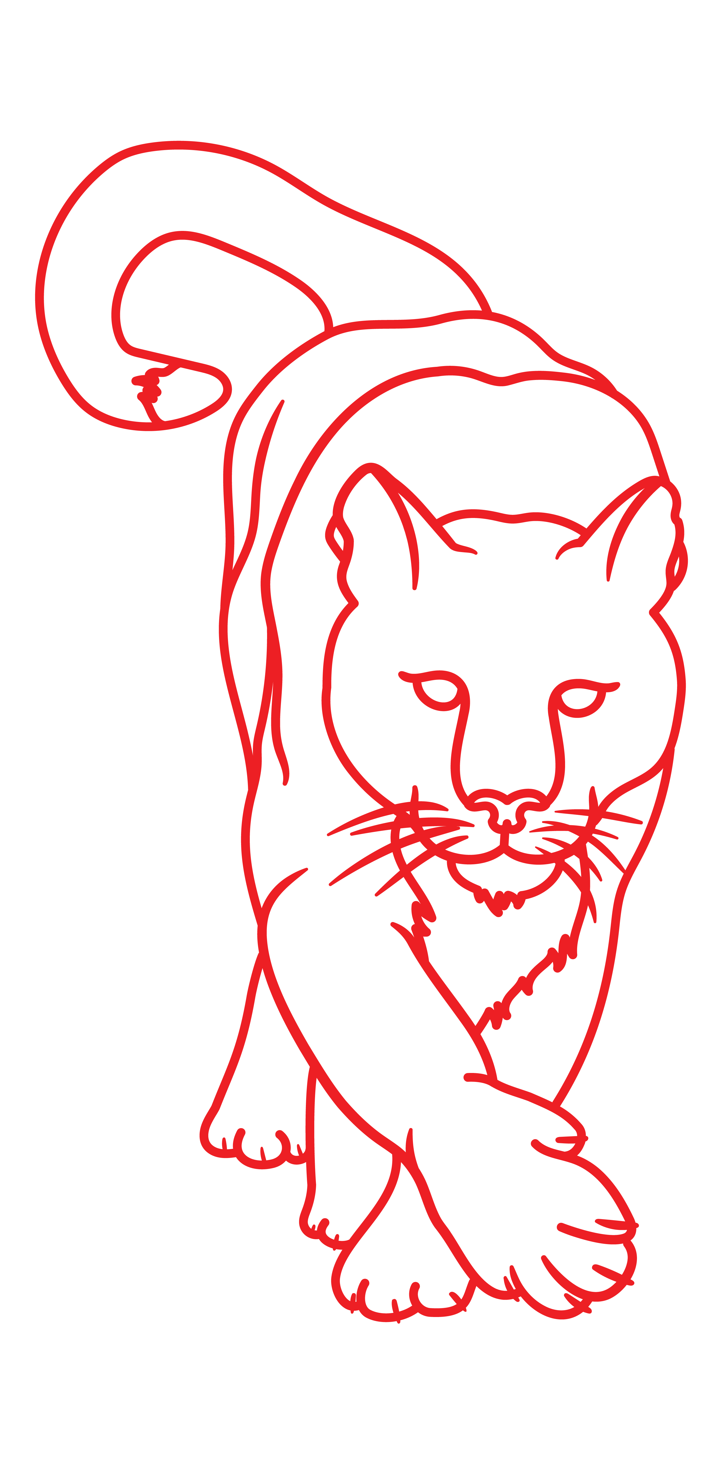 puma caminando - Imagen 3