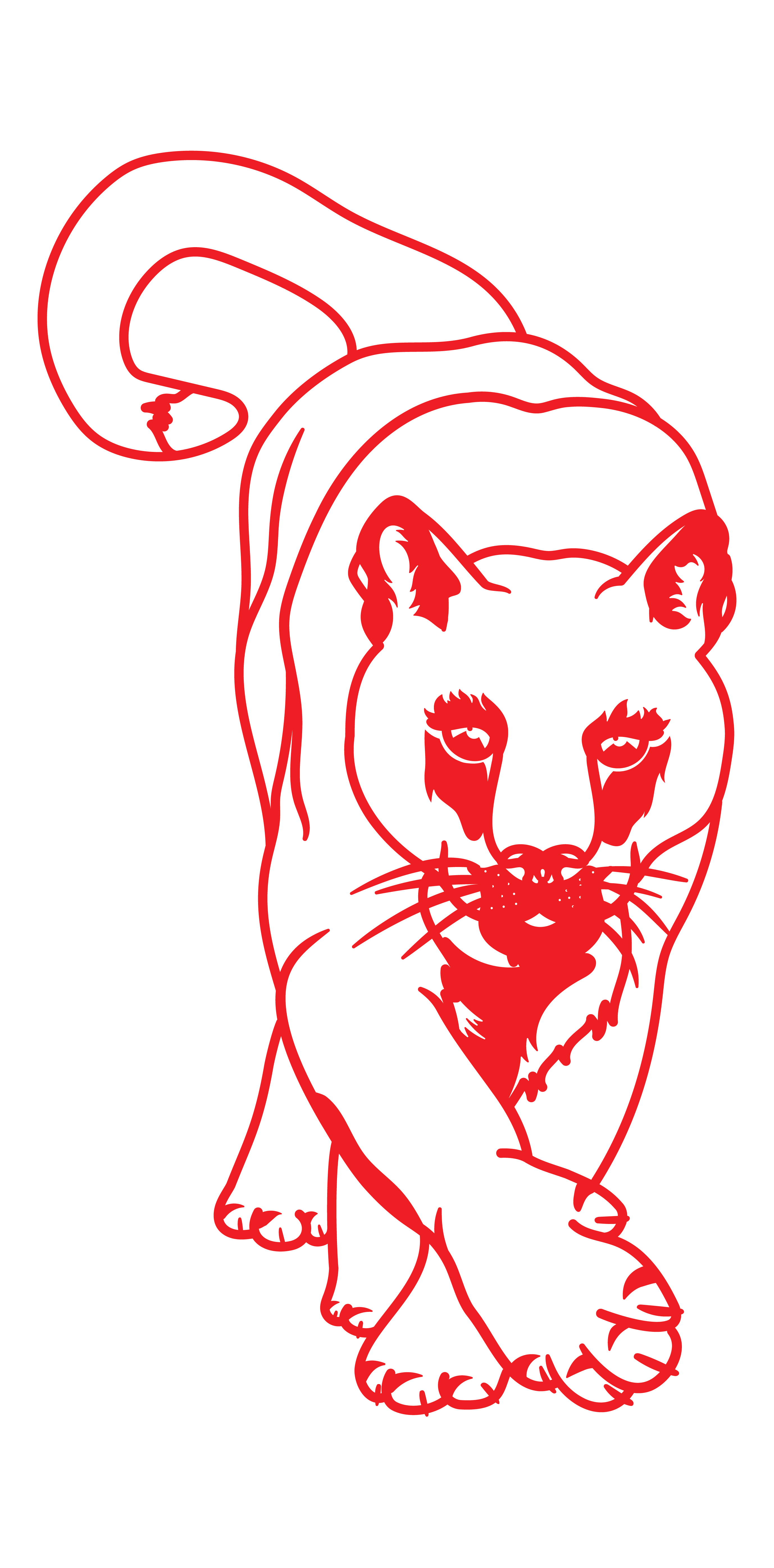 puma caminando - Imagen 4