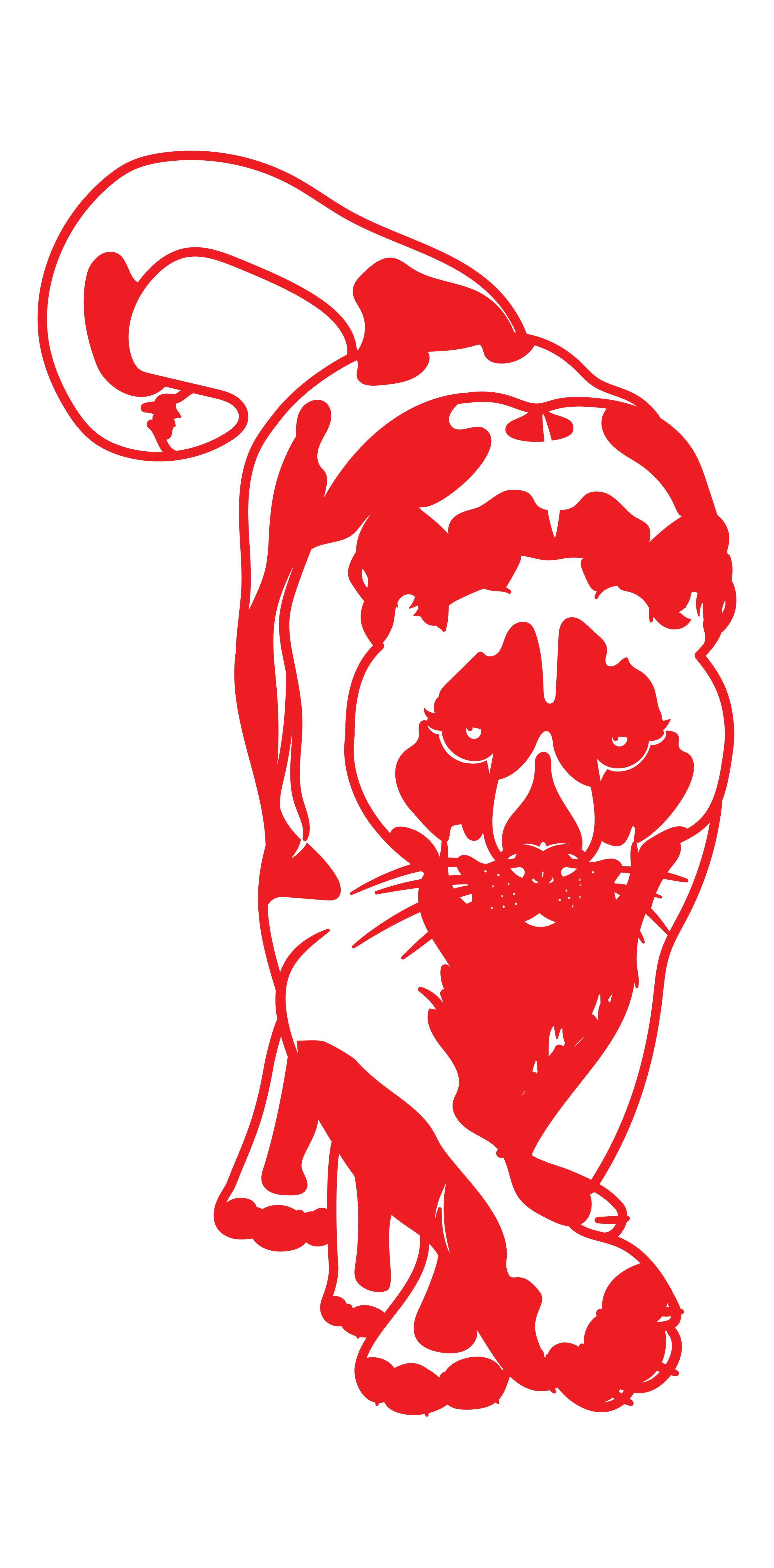 puma caminando - Imagen 5