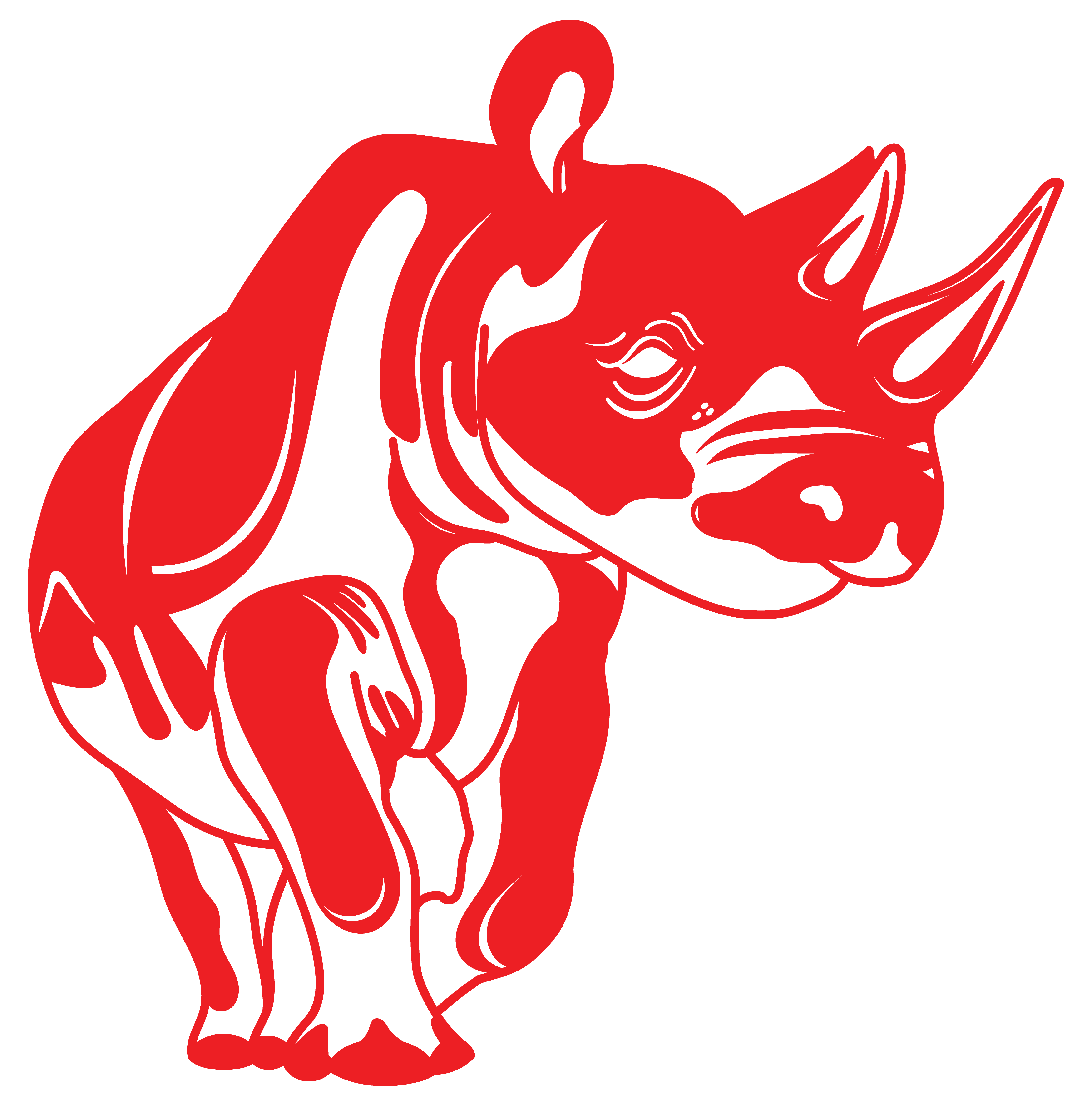 Rhino 5 Layers - Imagen 4