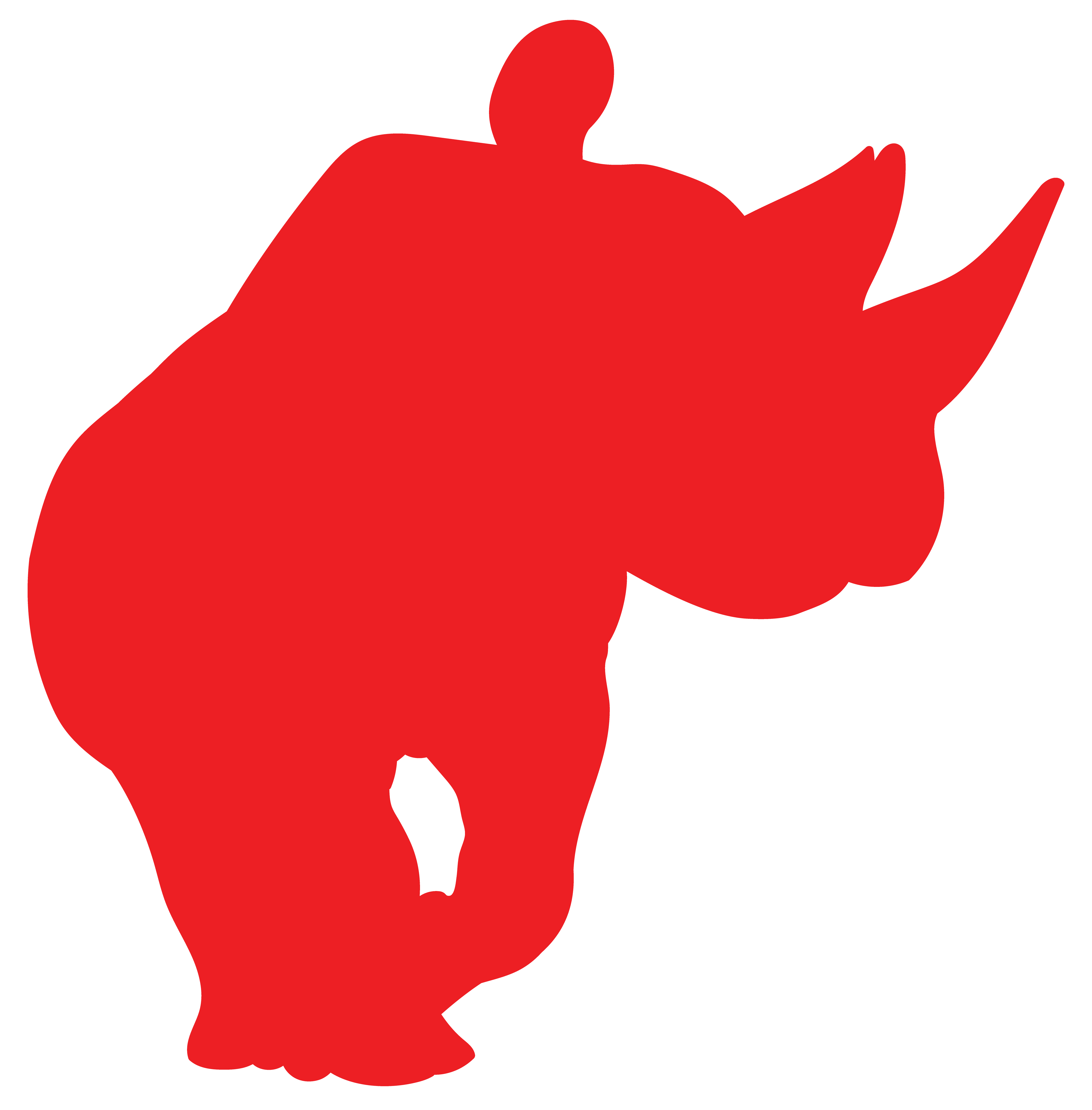 Rhino 5 Layers - Imagen 6