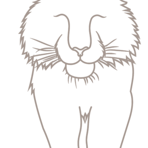 Tiger Walking PNG-01