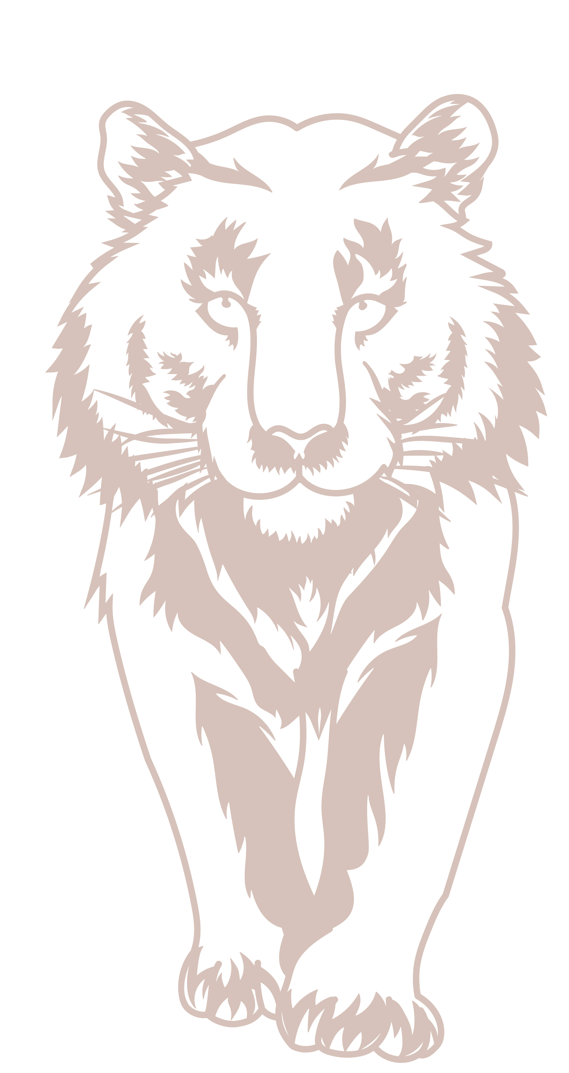 Tiger Walking - Imagen 3