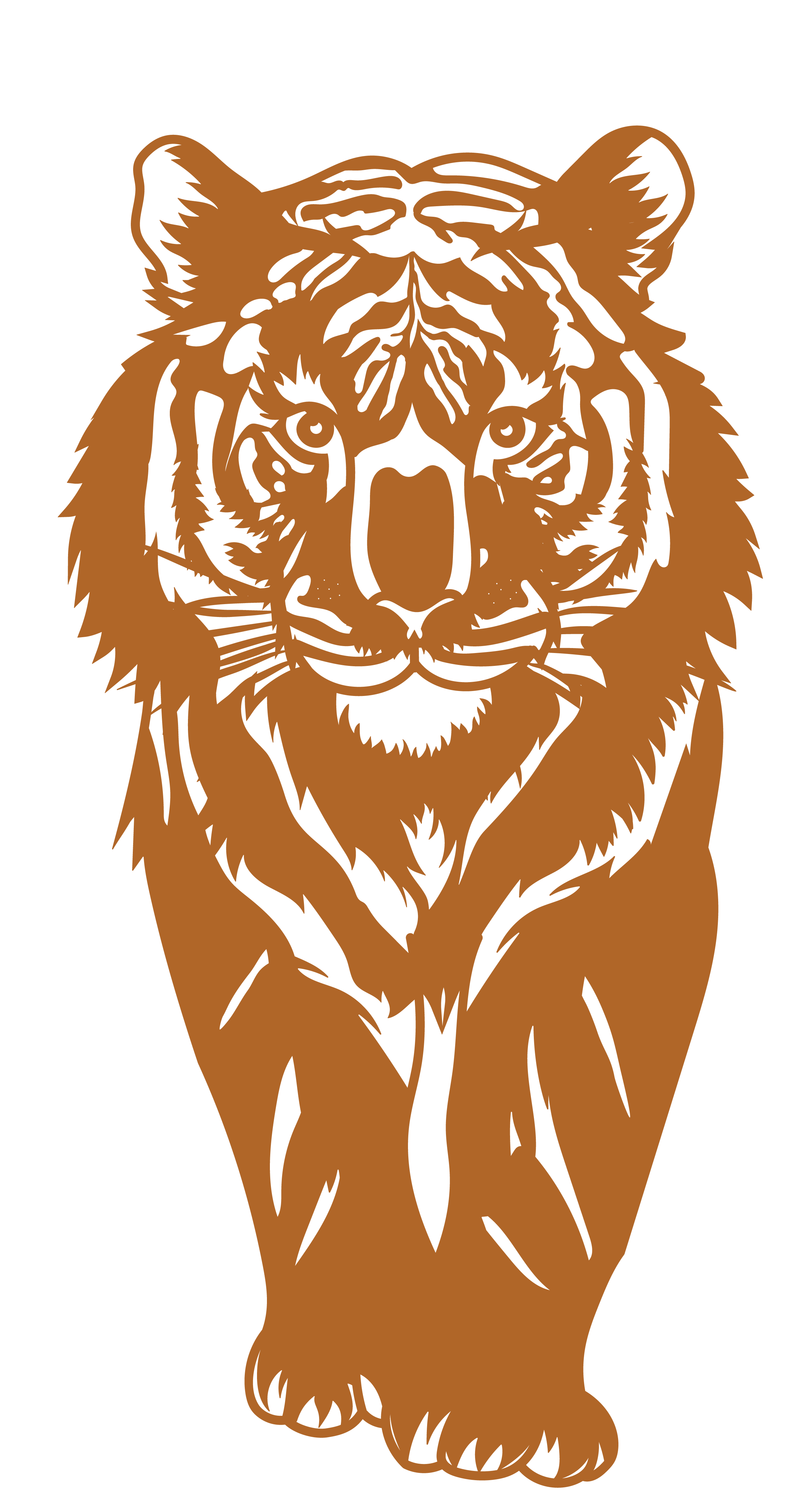 Tiger Walking - Imagen 4